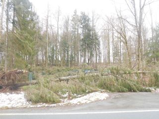 Bild-Nr. 513 Hilfeleistung